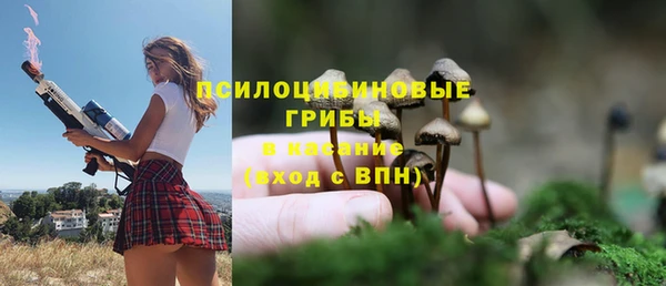 a pvp Зерноград