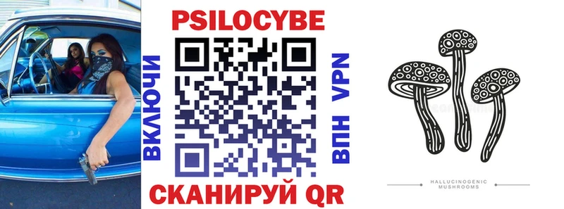 купить наркотики цена  Майкоп  Галлюциногенные грибы Cubensis 