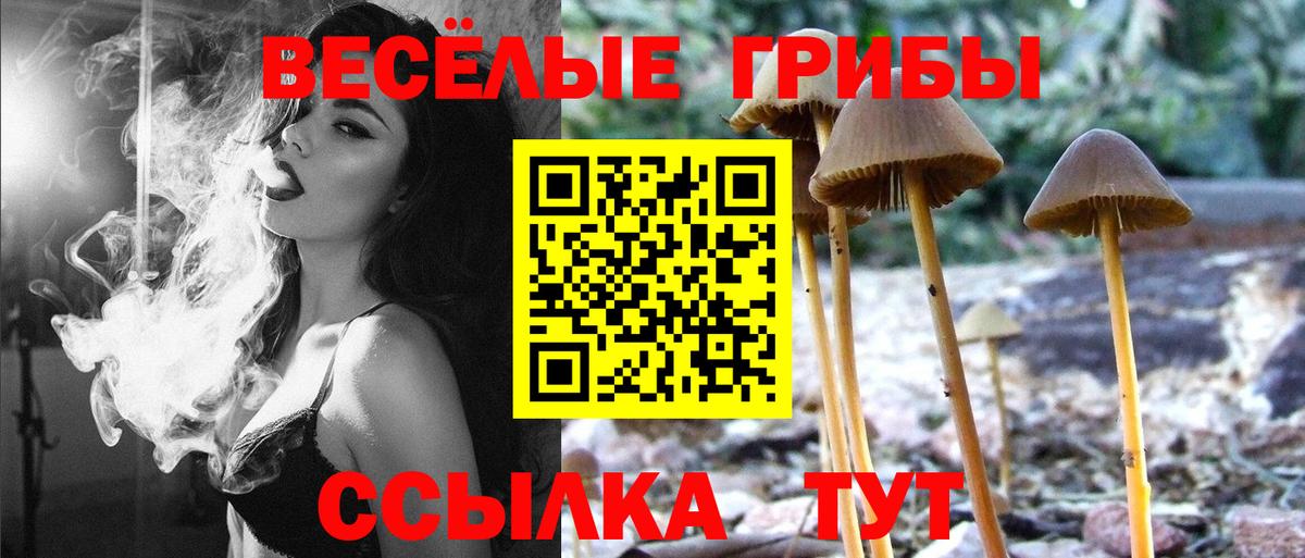Галлюциногенные грибы мицелий Майкоп