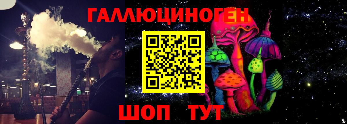 Псилоцибиновые грибы Psilocybe  Вход с VPN  Майкоп 
